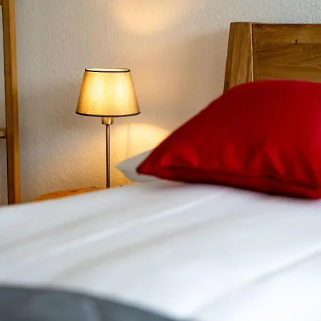 Swiss Dream - Luxury Lakeview With Ac Near Interlaken Alpstuga